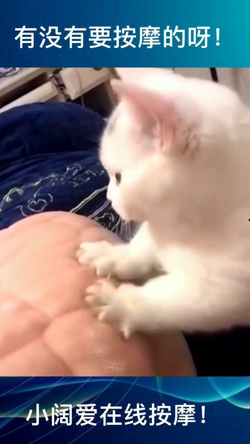按摩小视频在线观看,跟随按摩小视频，在家享受专业级舒缓体验  第1张